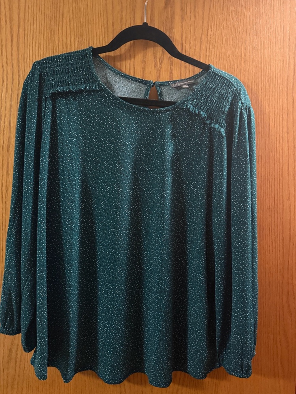 Buffalo Teal Long Sleeve Blouse